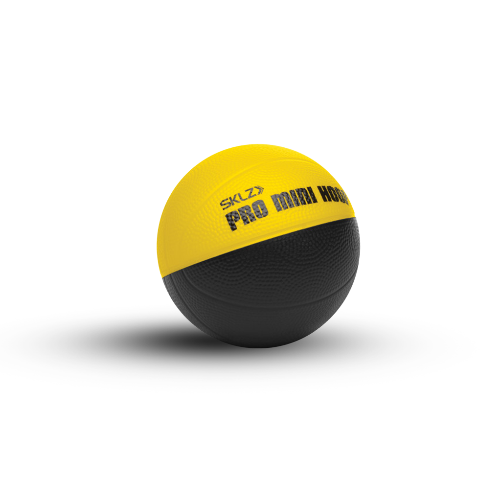 SKLZ Pro Mini Hoop Micro Ball - 4in - Buy now online with delivery in 1-2 days in UAE, Dubai, Abu-Dhabi.